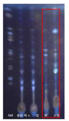 In vitro 소화단계에 따른 홍삼차 ginsenoside들의 함량변화 TLC 분석.