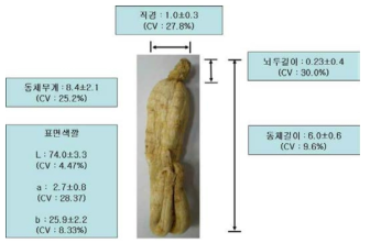 Standardization for appearance feature of curved ginseng products.