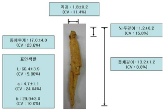 Standardization for appearance feature of straight ginseng products.