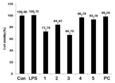 BV2 세포에서 세포생존율에 미치는 영향 (PC: ginsenoside Rb1).