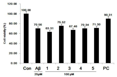 SH-SY5Y 세포에서 beta-amyloid 독성에 대한 보호효과 (PC: ginsenoside Rb1).