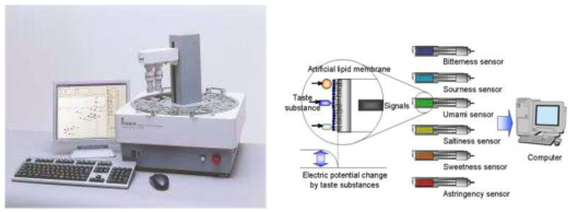 ET apparatus and the taste sensors (Taste Sensing System SA402B).
