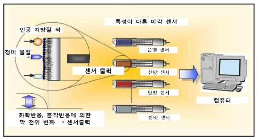 전자혀 맛측정의 원리.