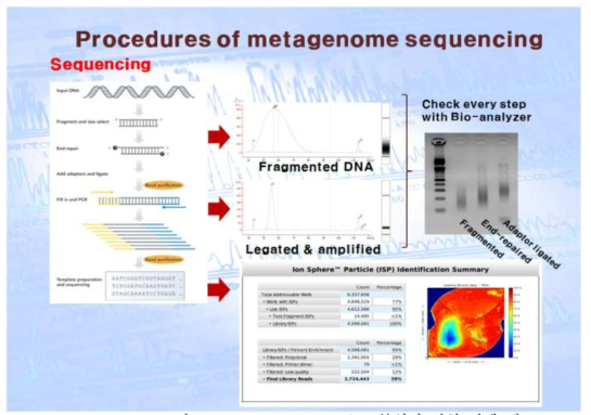 metagenome sequencing 분석의 실험 진행 예