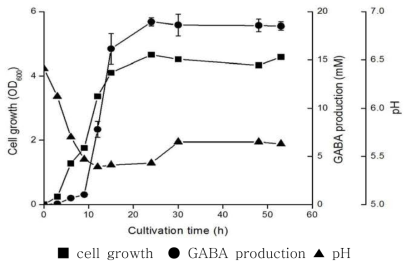 Lb. brevis 855G의 배양시간별 GABA 생산, 균체량, pH와 상관관계