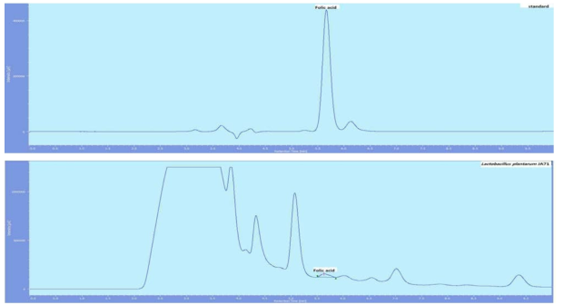 HPLC analysis of folic acid of Standard(up) and MRS broth incubated by Lactobacillus plantarum JA71(down)