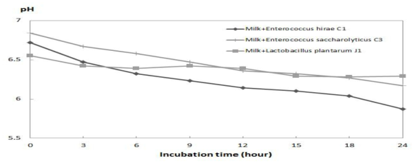 pH changes of milk during the growth of folic acid producing bacteria at 37℃