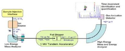 AMS(Accelerator Mass Spectrometry)의 구조