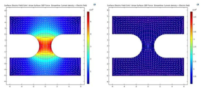 FEM 해석을 사용하여 도출한 나노갭 有(우)/無(좌)에 따른 전기장 크기의 분포