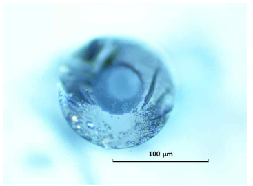 NKT photonics사의 광파이버 손상