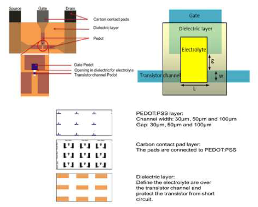 ECT(electrochemical transistor)용 그라비아 제판 설계 도면