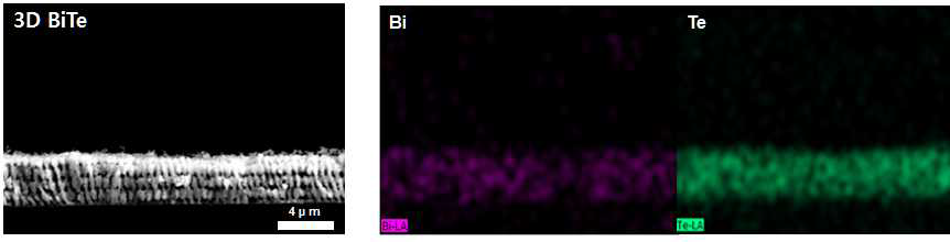3차원 BiTe 열전소재/고분자 복합체