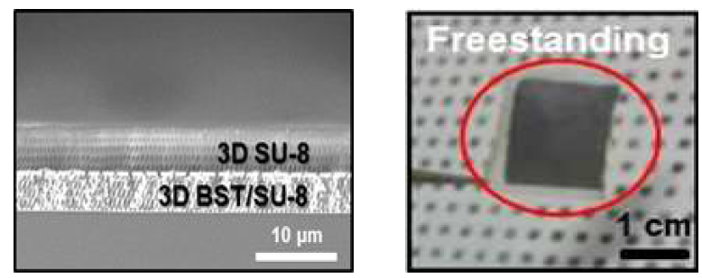 3차원 나노구조 Freestanding BST 열전소재 및 SEM Image