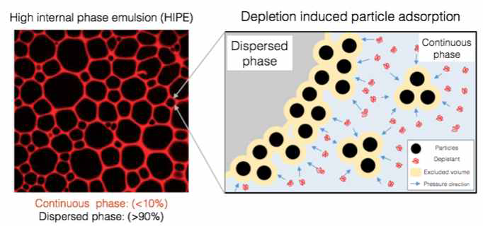 high internal phase emulsion (HIPE)의 기본 구조와 본 연구과제에서의 합성 전략