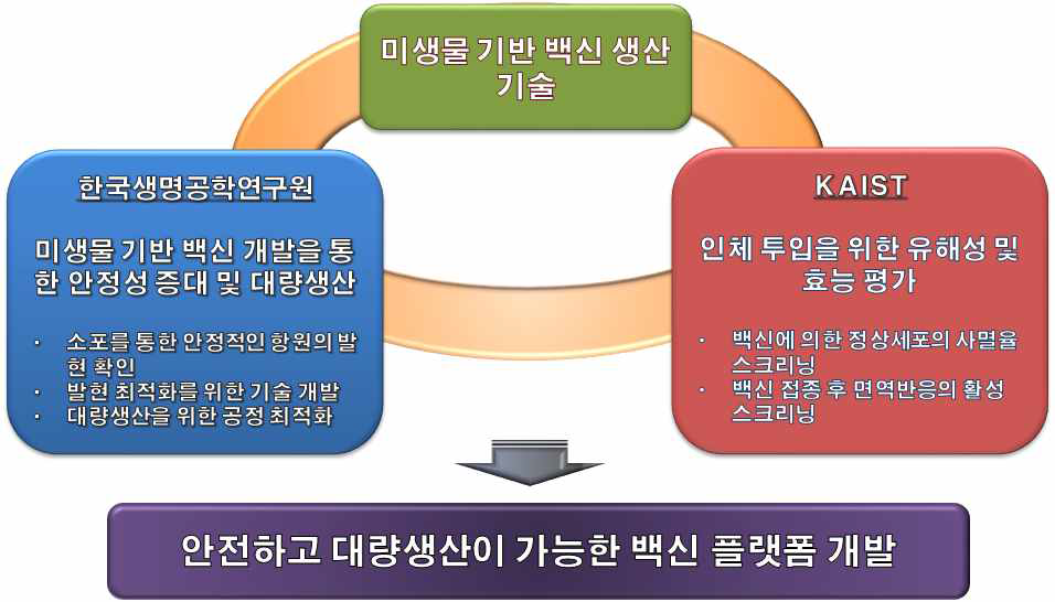 부작용이 적고 대량생산이 가능한 미생물 소포 기반의 백신 개발