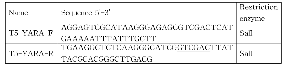 In-fusion을 위한 PCR primer