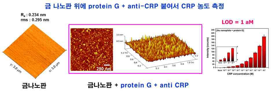 금 나노판의 AFM이미지, 금 나노판에 protein G와 anti-CRP를 고정한 이미지, CRP 농도에 따른 SERS 신호세기 변화