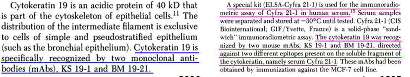 KS 19.1와 KS 19.2 (BM 19-21)은 CYFRA 21-1과 결합력이 가장 좋다고 알려진 두 항체로, 임상학적 진단을 위해 널리 사용되어온 항체이다