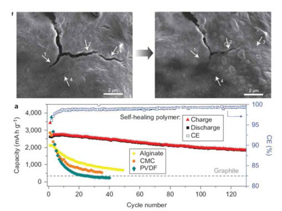 C. Wang et al.이 2013년 Nature Chemistry에 보고한 자가치유 고분자 적용 사례