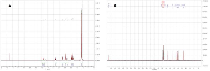 34의 1H NMR(A)과 13C NMR(B) 데이타