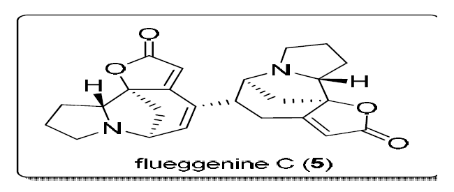 플루게닌 C의 구조와 천연물이 추출된 식물