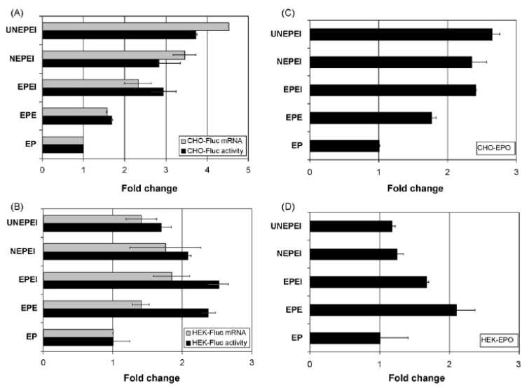 Human cytomegalovirus major immediate early gene의 프로모터 조합에 따른 단백질 발현양 차이