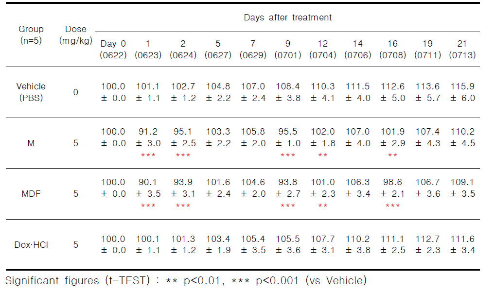 HT-29 이식 모델에서 M, MDF와 양성대조물질의 반복 미정맥투여에 의한 마우스의 날짜별 체중 변화