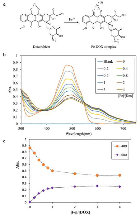 Fe(III)-DOX 화합물 분석