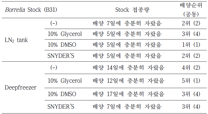 3개월 보존_Borrelia 배양 결과