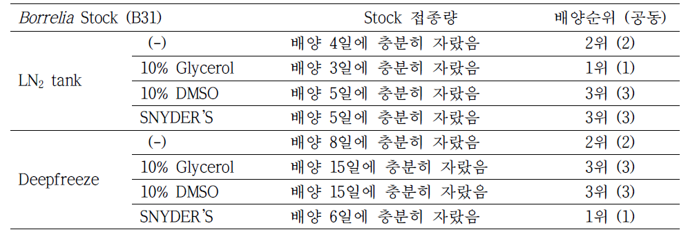 1년 보존_Borrelia 배양 결과