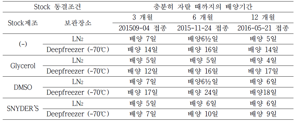 Borrelia 동결조건비교를 위한 3, 6, 12개월 배양결과