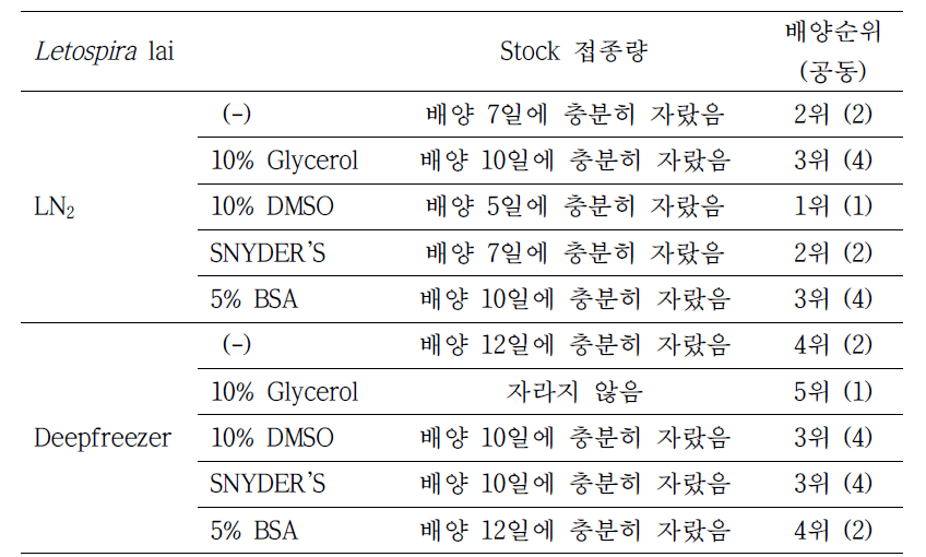 3개월 보존_Lepto 배양 결과