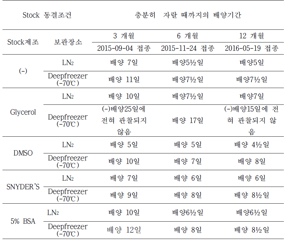 Leptospira 동결조건비교를 위한 3, 6, 12개월 배양결과