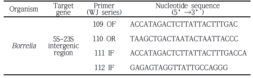 Borrelia 검출 및 분류를 위해 사용되는 oligonucleotide와 타겟 유전자