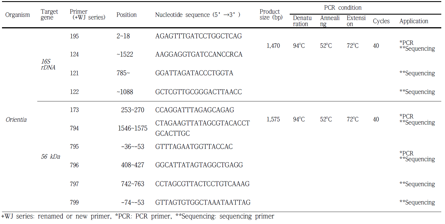 Orientia 분류에 필요한 primer 및 그 정보