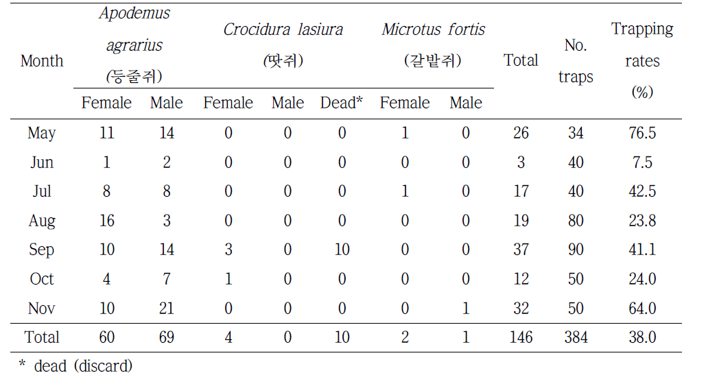 월별로 채집된 설치류 채집결과