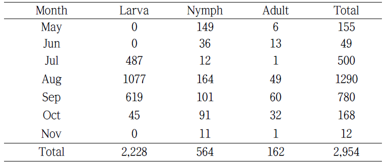 월별 채집된 참진드기의 계절적 발생소장