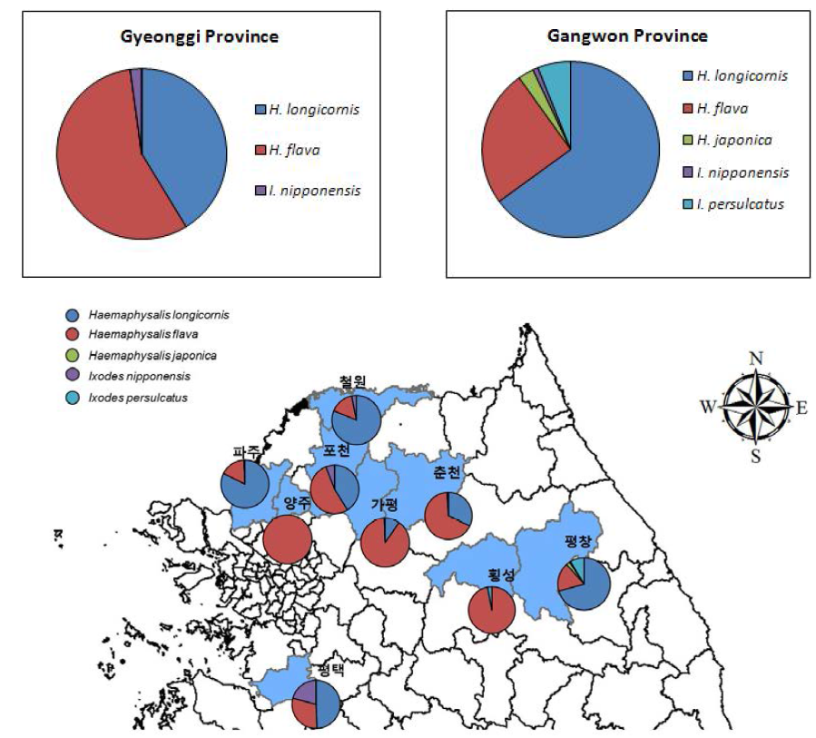 경기도와 강원도지역에서 채집한 참진드기의 지역별 분포도