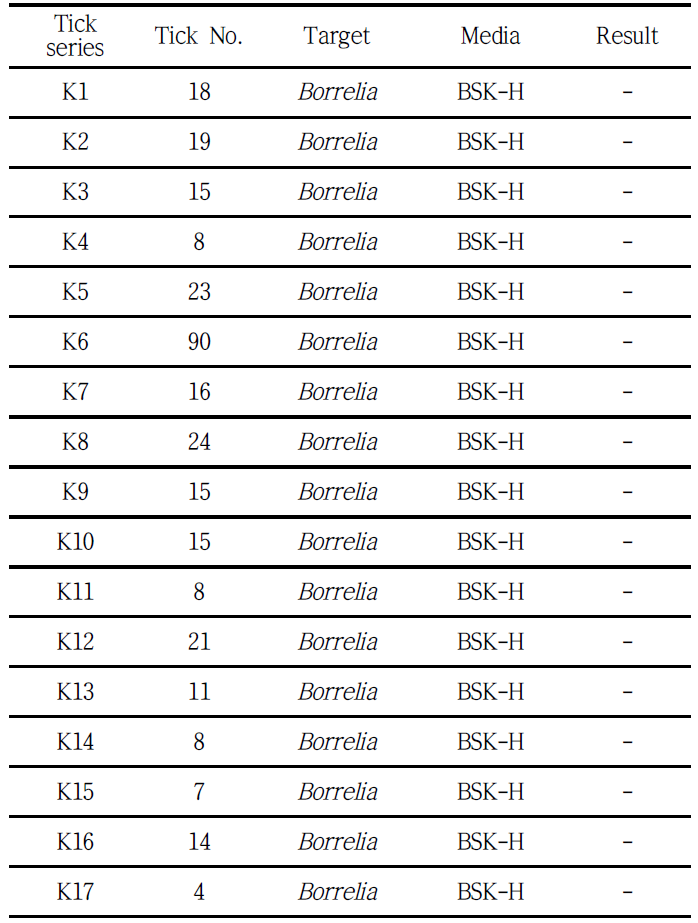 Tick 침출액을 배지에 감염시킨 결과