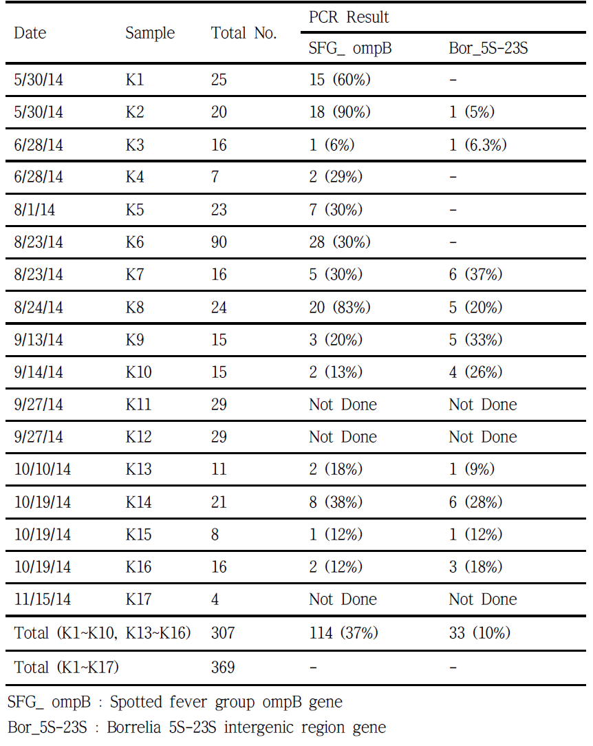 진드기로부터 nested PCR로 병원체를 검출한 결과