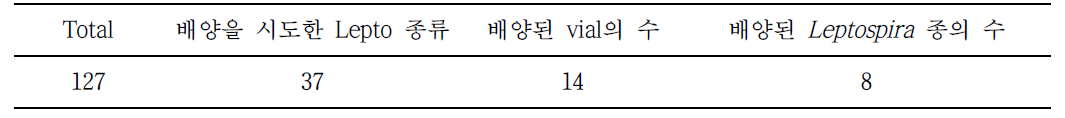 기존에 냉동보관하던 균주를 해동한 Leptospira 균수 및 생존이 확인된 균수