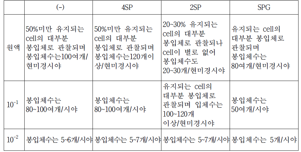 “0시간대” 감염 48시간대의 봉입체 수