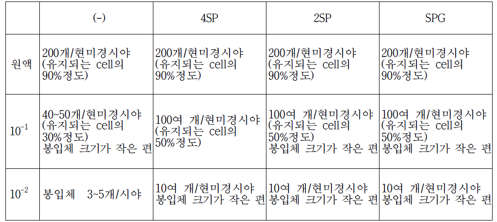 3개월 보존 LN2 stock_Chlamydia 배양 결과 감염 48시간대 봉입체 수