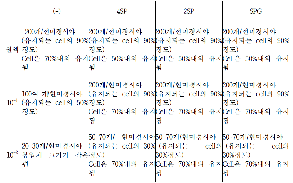 3개월 보존 LN2 stock_Chlamydia 배양 결과 감염 46시간대 봉입체 수