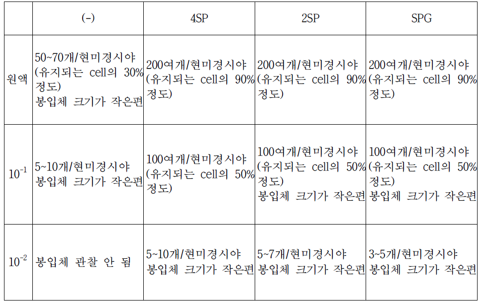 3개월 보존 Deepfreezer stock_Chlamydia 배양 결과 감염 48시간대 봉입체 수