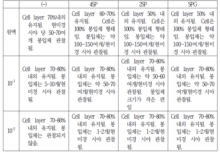 6개월 보존 Deepfreezer stock (2015년 06월 23일)_Chlamydia 배양 결과 감염 47시간대 봉입체 수