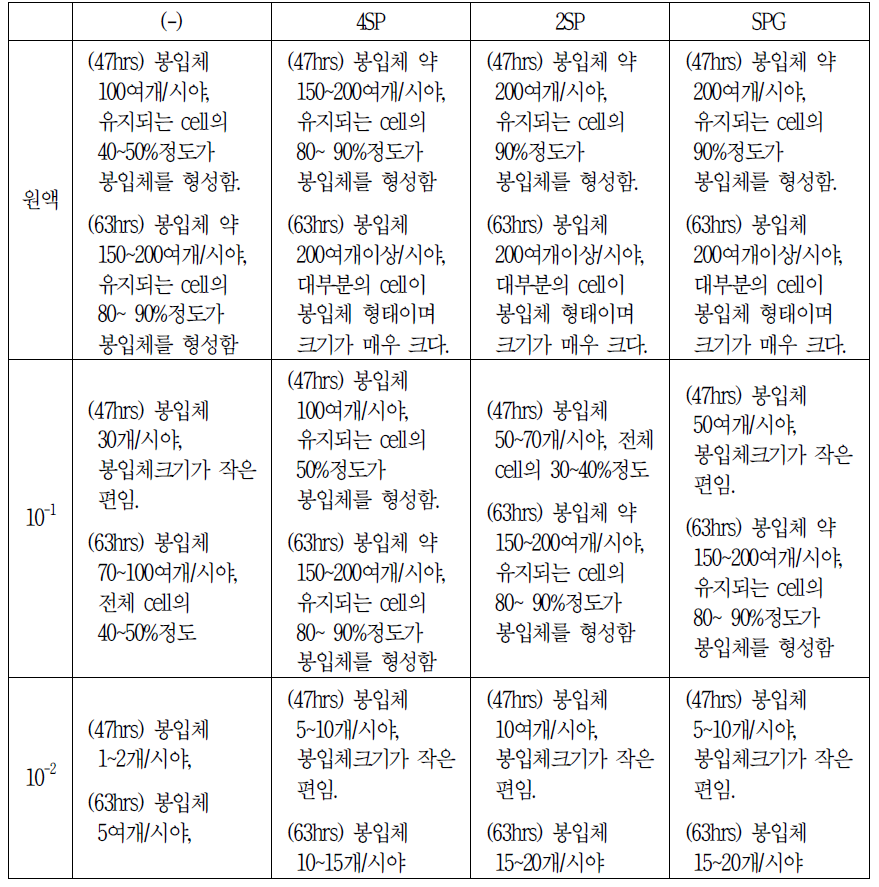 6개월 보존 LN2 stock (2015년 06월 19일)_Chlamydia 배양 결과 감염 47시간, 63시간대 봉입체 수