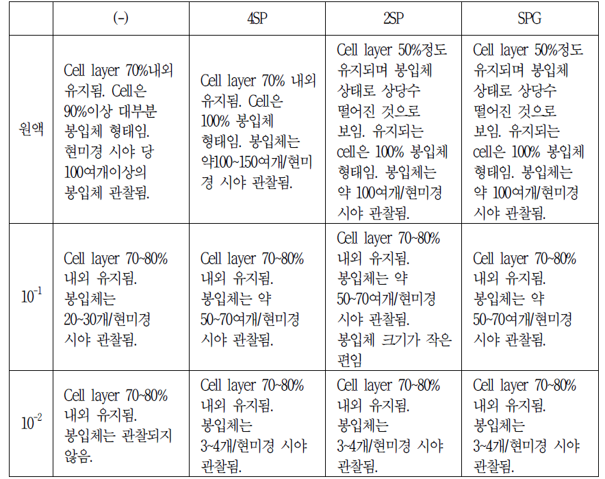 6개월 보존 LN2 stock (2015년 06월 23일)_Chlamydia 배양 결과 감염 47시간대 봉입체 수