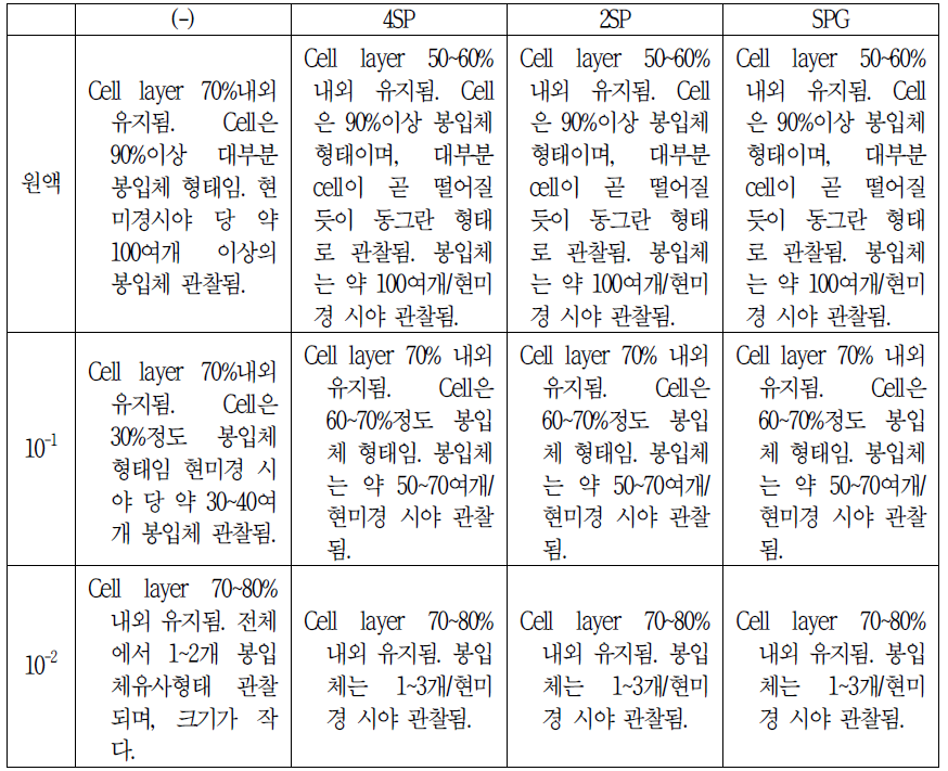 1년 보존 LN2 stock (2015년 06월 23일)_Chlamydia 배양 결과 감염 48시간 봉입체 수