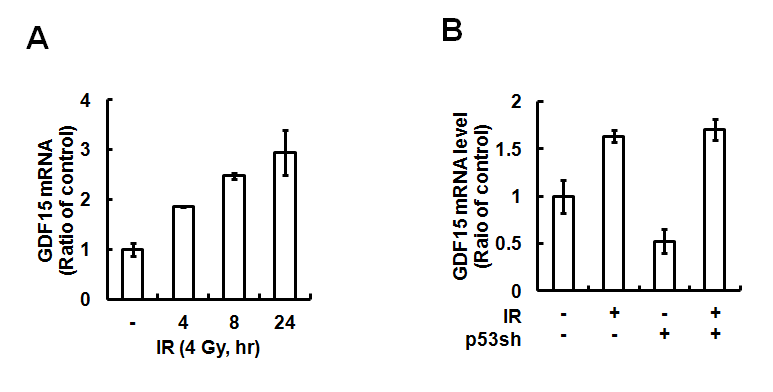 p53 의존적 방사선 유도 GDF15 발현 증가
